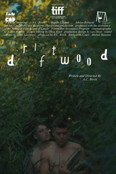 Driftwood