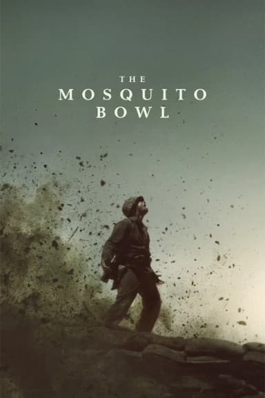 The Mosquito Bowl