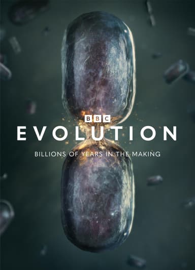 Evolution