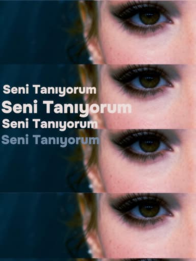 Seni Tanıyorum