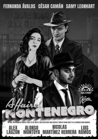The Montenegro Affair