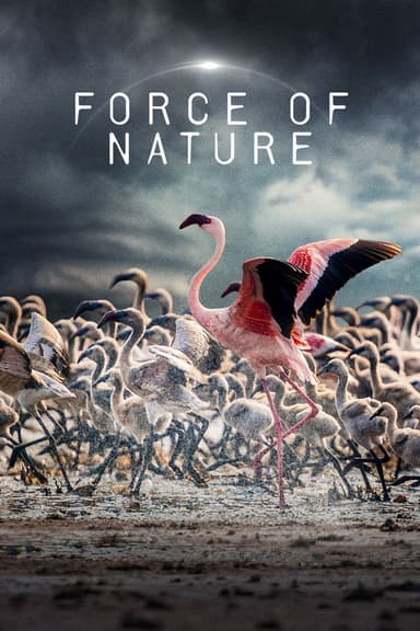 Force of Nature
