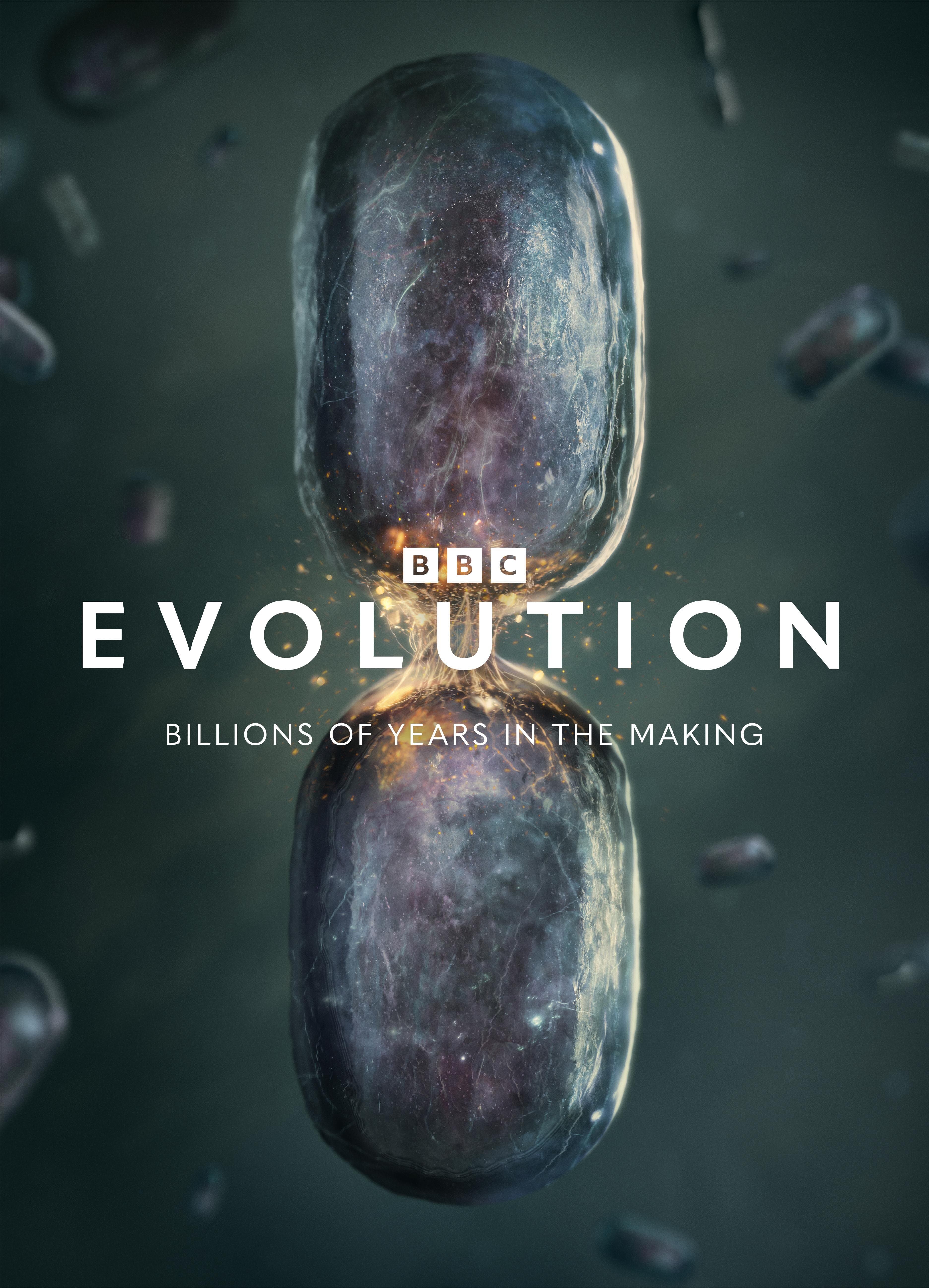 Evolution